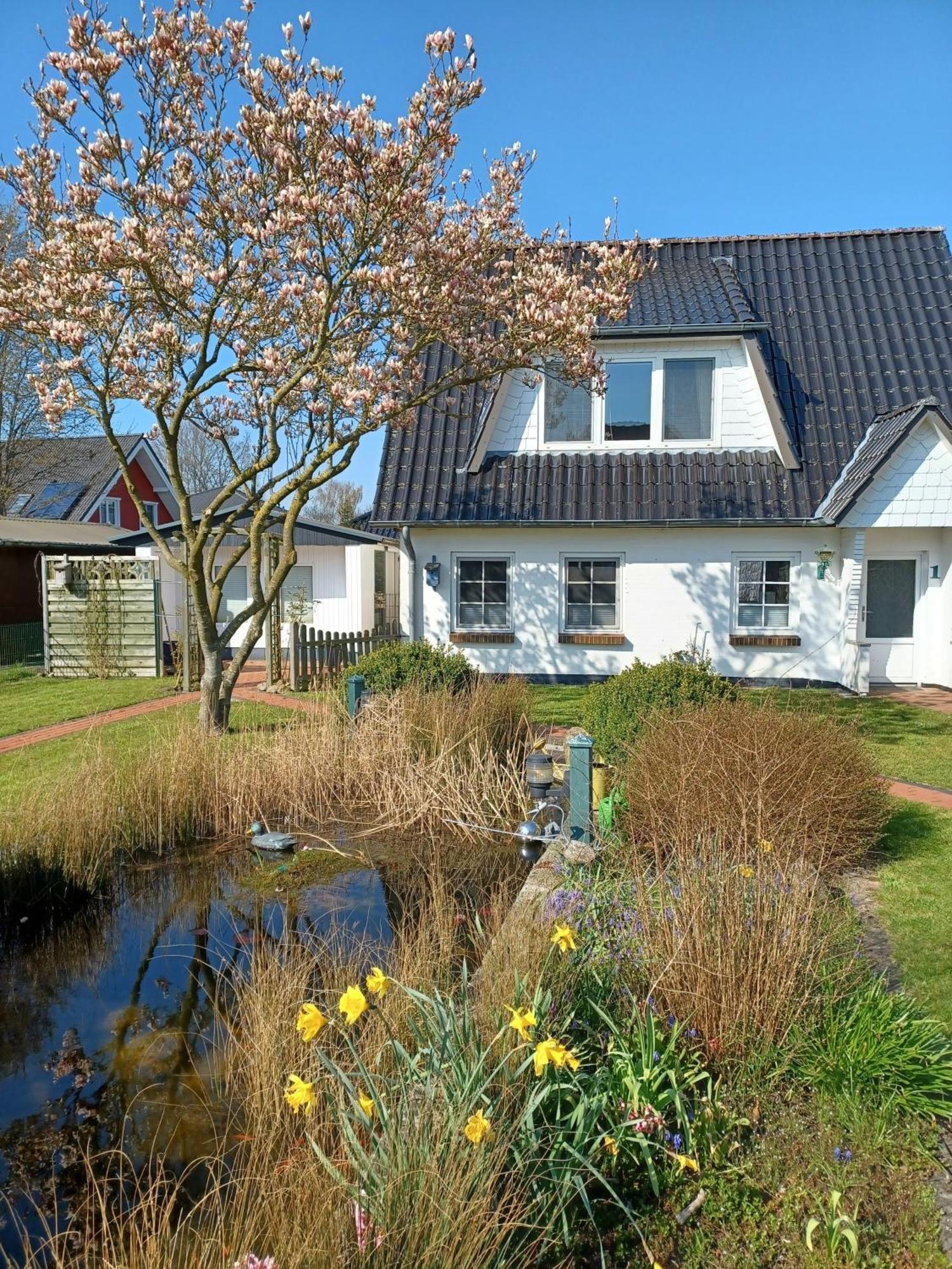 Apartment Dau Ii